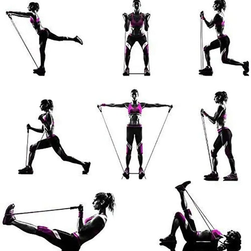 Resistance Bands with Handles – Full‑Body Workout Bands for Men & Women | Strength Training Equipment for Home Gym
